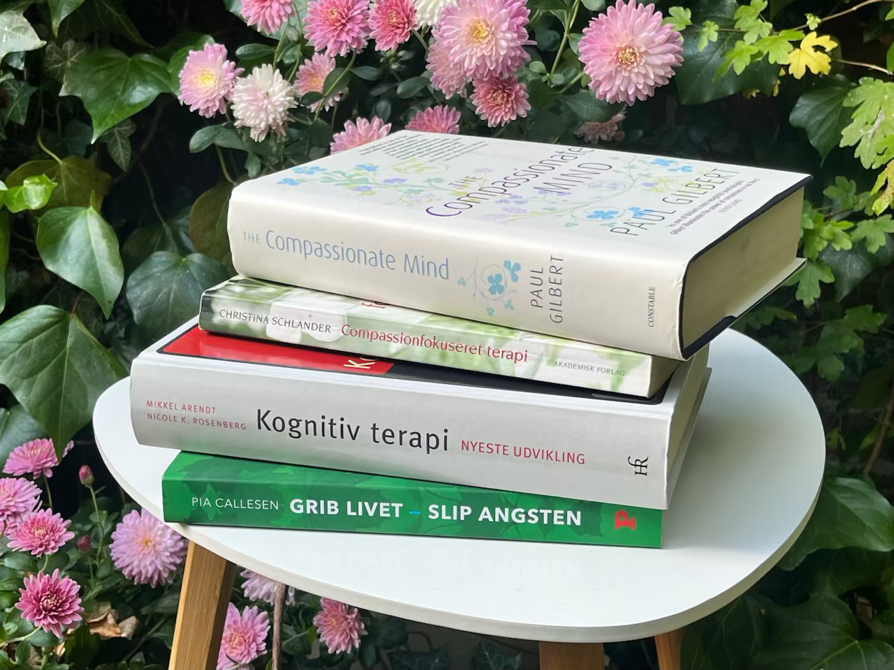 compassion fokuseret terapi , kognitiv terapi, metakognitiv terapi